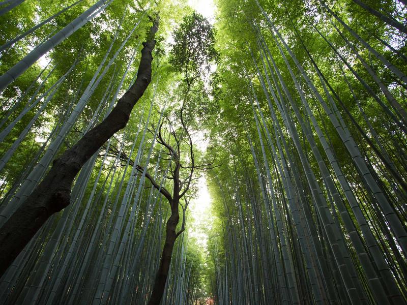 舆情雷达<br>敏感词预警与声誉管理